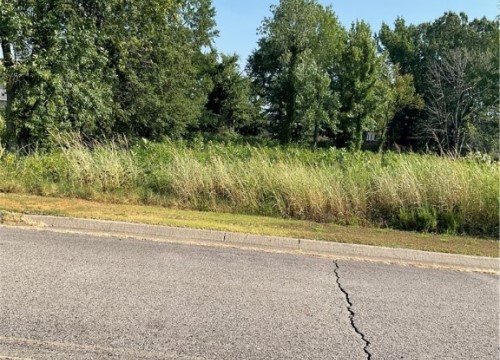 Lot 28 E C Street, Russellville AR