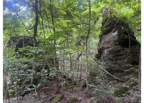 TBD NC 8141, Jasper AR