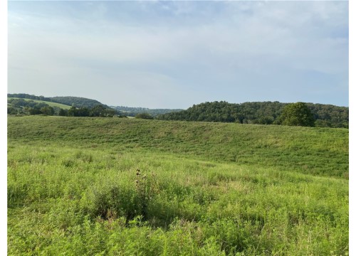TBD Madison 8500 Road, Hindsville AR