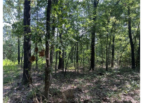 47 Cedar Creek Drive, Harrison AR