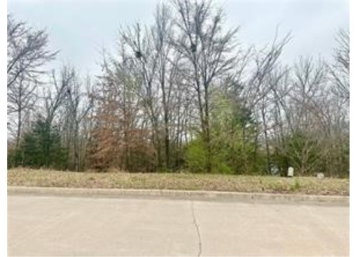 189 N Skyview Lane, Fayetteville AR
