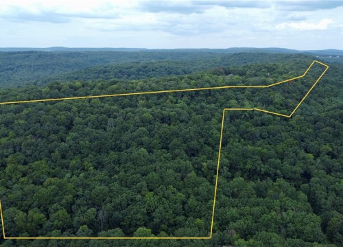 20988 Chimney field Road, Winslow AR