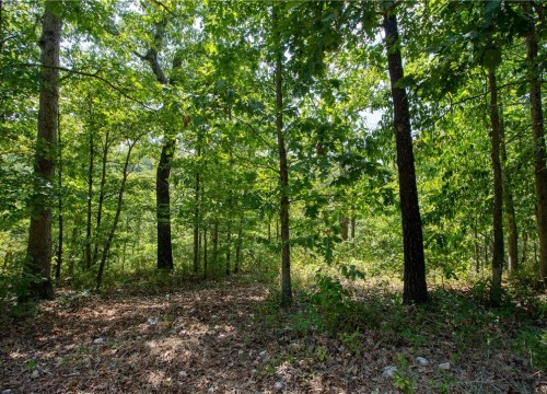 14600 Canyon Road, Bella Vista AR