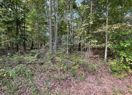 Ruthwell Drive, Bella Vista AR