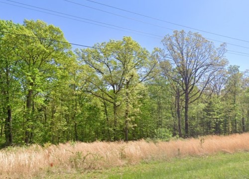 Stoneykirk Drive, Bella Vista AR