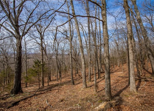 Dinsmore Trail, Fayetteville AR