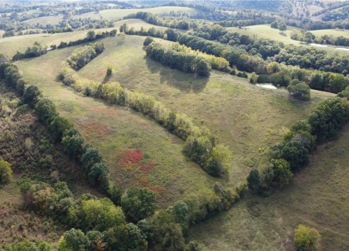 Strawberry Hill, Landis AR