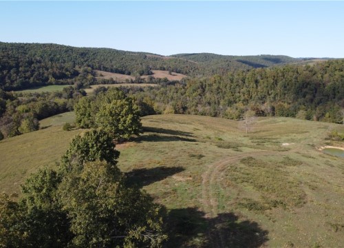 Turkey Creek, Landis AR