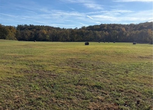 Meadowlark WC 364/Madison 7304 Road, Fayetteville AR