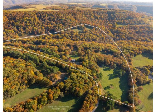 16075 Chocolate Flats, Fayetteville AR