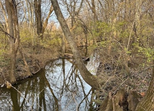 5680 W Tackett Drive, Fayetteville AR