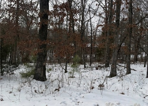 Arbroath Lane, Bella Vista AR