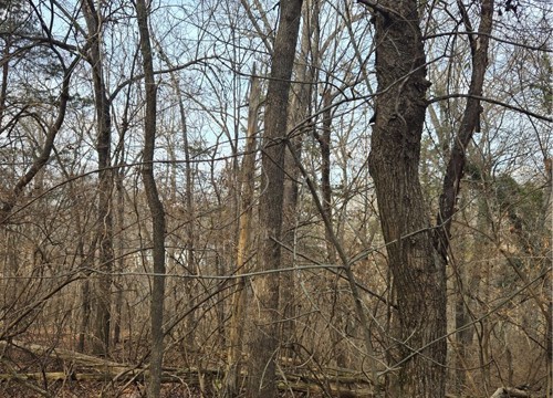 17912 Driftwood Approach, Fayetteville AR