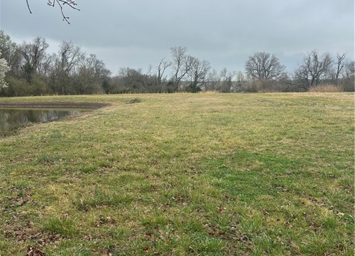 1301 Morris Avenue, Springdale AR