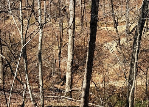 Lot 8 Sheffield Drive, Bella Vista AR