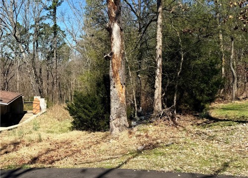 Lot 8 S Wareham Lane, Bella Vista AR