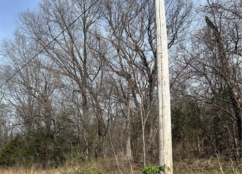 TBD Trammell Drive, Lowell AR