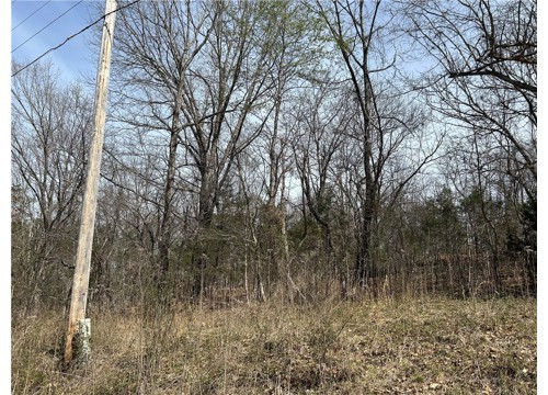 TBD Trammell Drive, Lowell AR