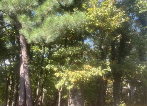 Ulverston Drive, Bella Vista AR