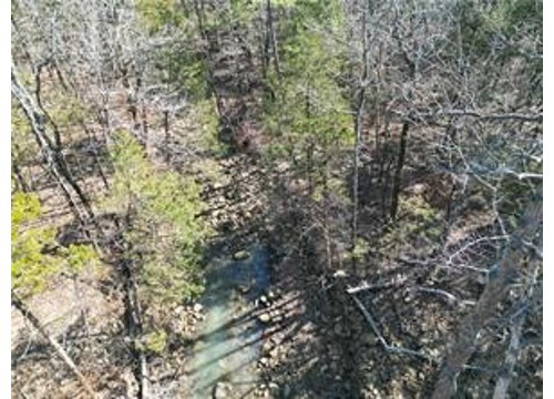 TBD Pea Ridge Road, Havana AR