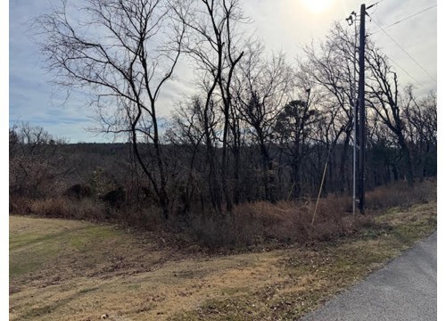 1 Table Rock/Cottonwood Drive, Holiday Island AR