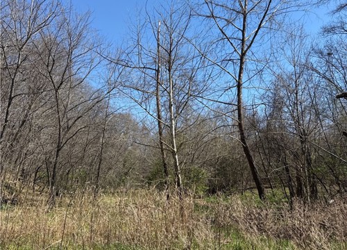 14552 Highland Church Road, Fayetteville AR