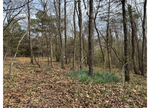 000 NC 5083, Mount Judea AR