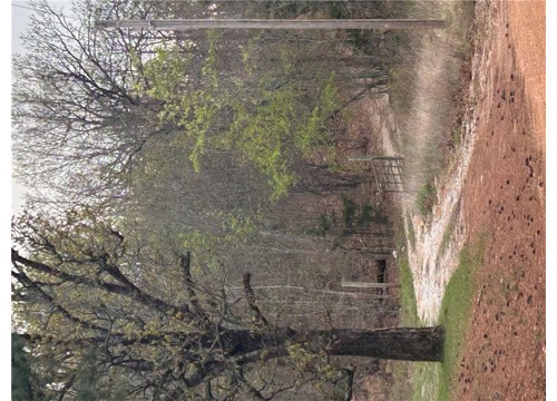 7689 Madison 2340 Lot 37, Huntsville AR