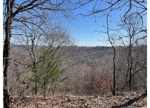 TBD Skylight Mountain, Canehill AR