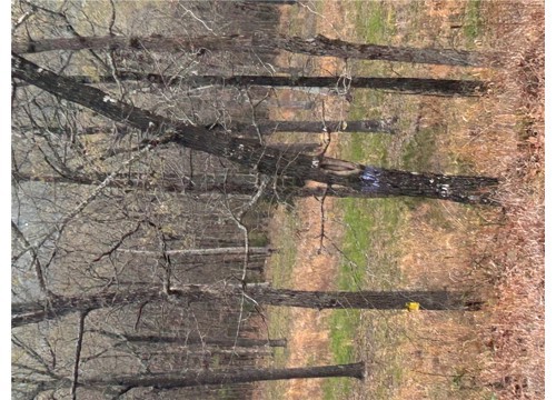 6563 Madison 2340, Huntsville AR