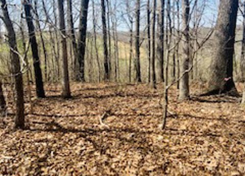 Whithorn Lane, Bella Vista AR