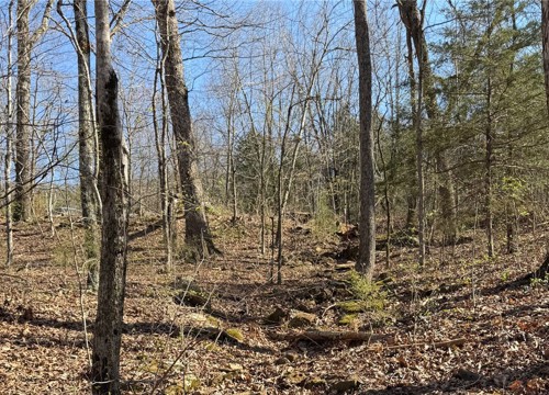 Madison Co 5430 Road, Crosses AR