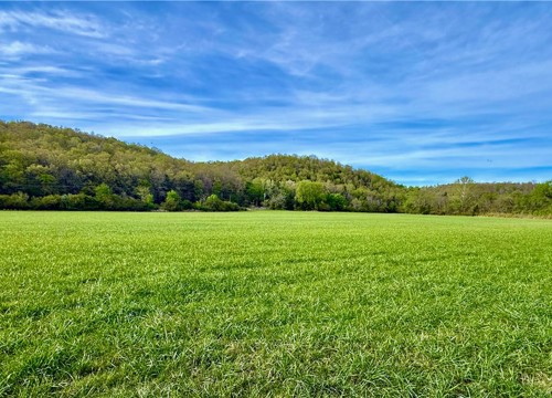 1.5 Acres  Denton Ferry Road, Cotter AR