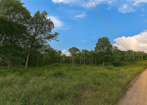 27B Shelby Lane, Cecil AR