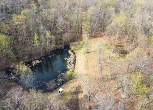 320 Acres CR 921, Alpena AR