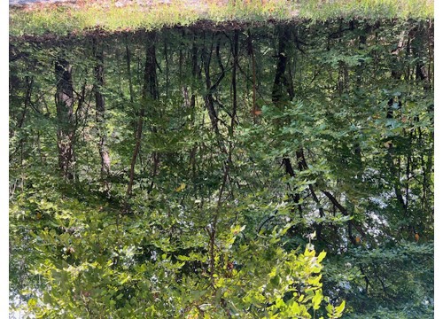 89 Sunrise Avenue, Holiday Island AR