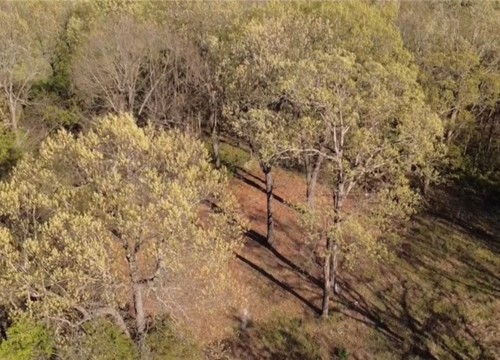 367 County Road 621, Green Forest AR