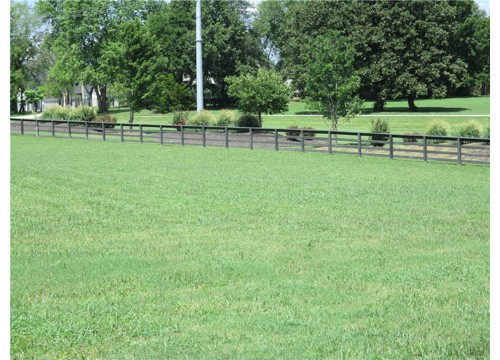 Lot 61 Blue Springs Road, Fayetteville AR