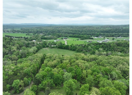 2465 Denton Ferry Road, Cotter AR