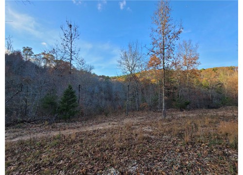 1272 Ramblewood Trail, Yellville AR