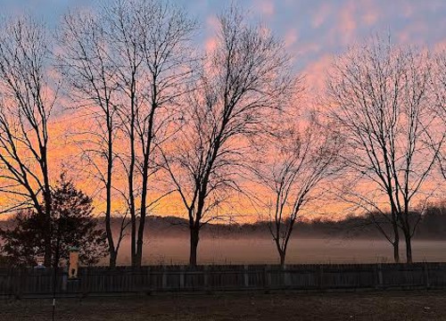 2871 Colton Cove, Fayetteville AR