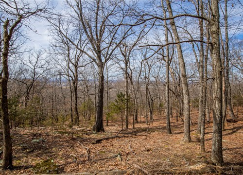 Dinsmore Trail, Fayetteville AR