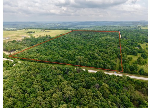 TBD 295 Highway, Hindsville AR