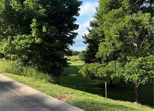 Lots 12 and 14 Beau Chalet Drive, Bentonville AR