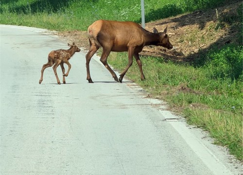 19874 AR 21 Highway, Ponca AR