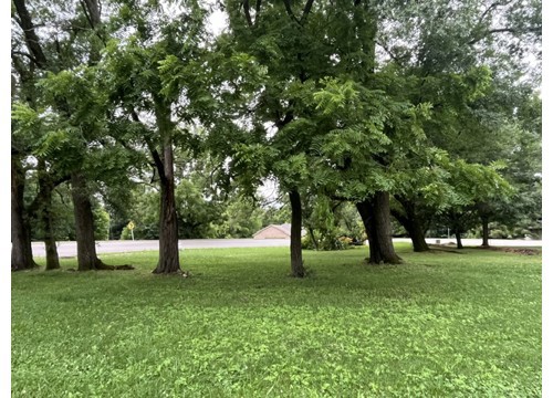 TBD Hayden, Pea Ridge AR