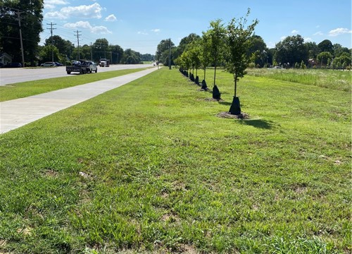 Wedington, Fayetteville AR