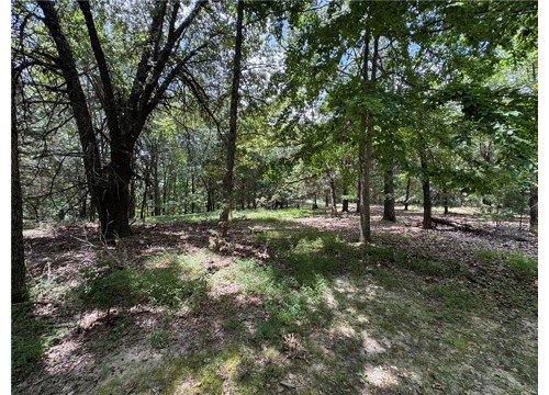 TBD 000 Panorama, Rogers AR