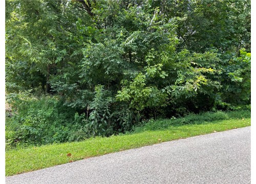Elizabeth Drive, Bella Vista AR