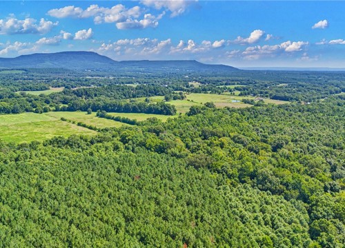 10972 A Cowger Lane, Dardanelle AR